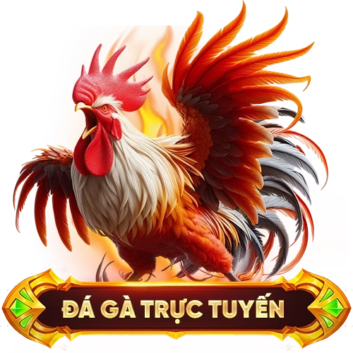 đá gà trực tuyến OKWIN